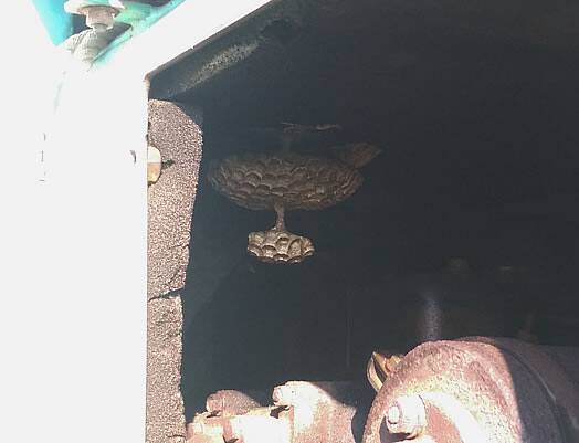 スズメバチの巣駆除重機